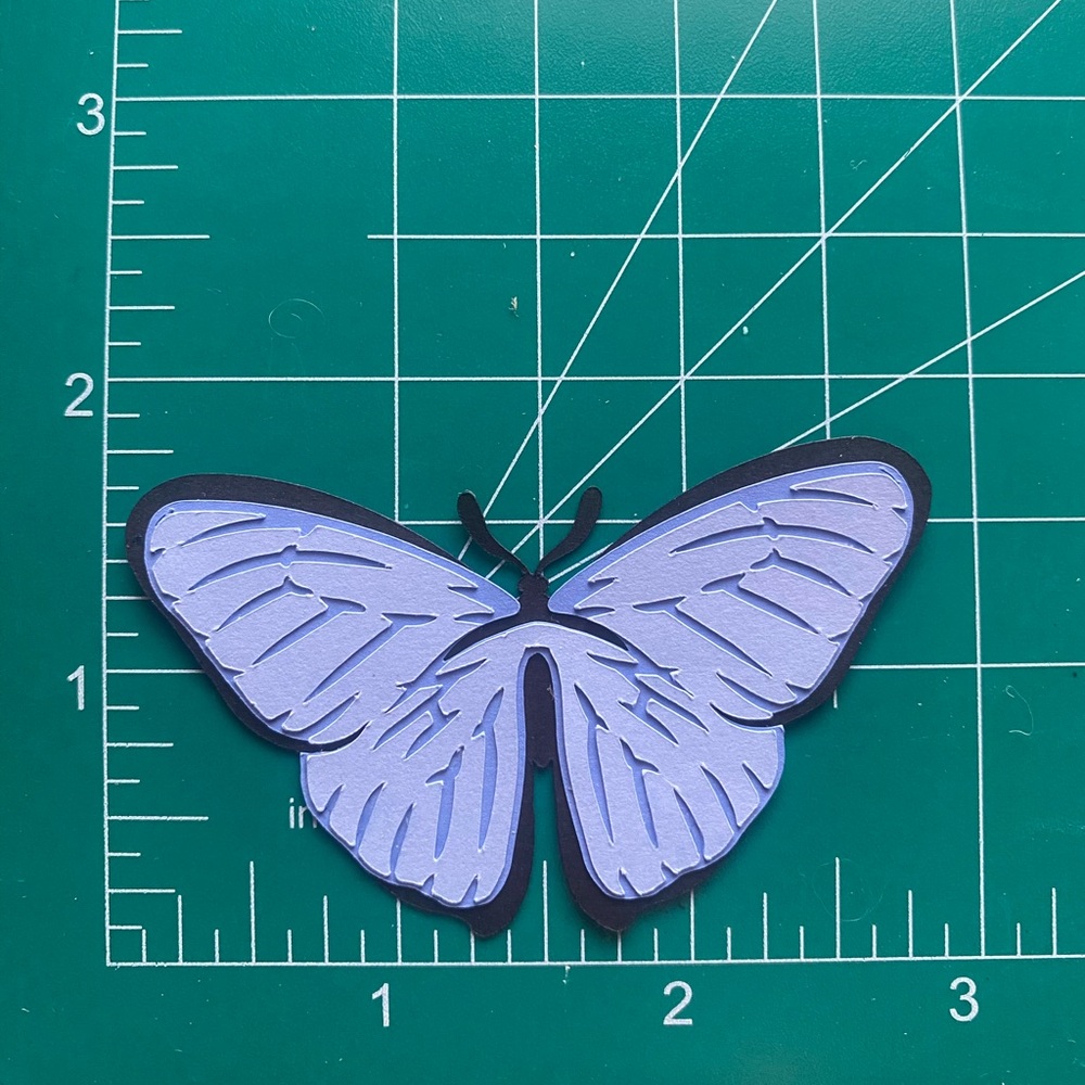 3D Magnet Blue Morpho Butterfly